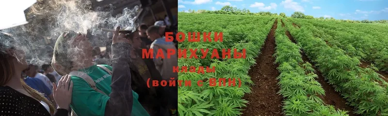 гидра вход  Асбест  Конопля White Widow 